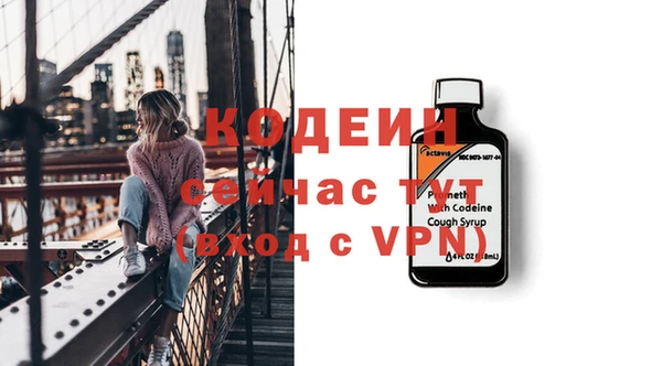 индика Белокуриха