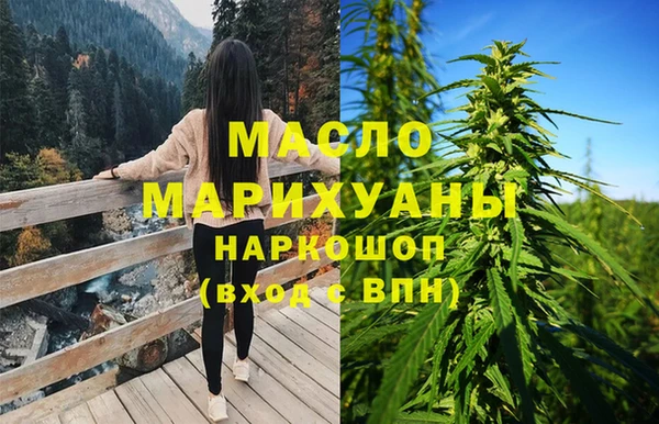индика Белокуриха