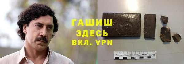 индика Белокуриха