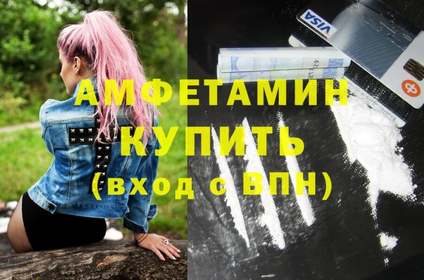 индика Белокуриха