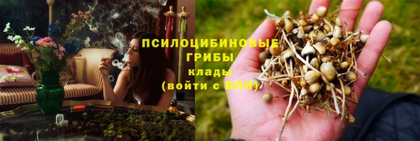индика Белокуриха