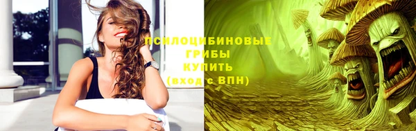 индика Белокуриха