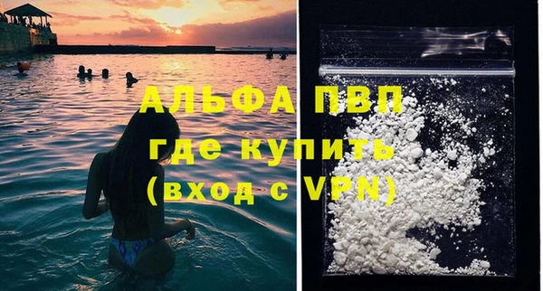 индика Белокуриха