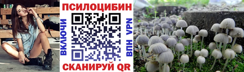 что такое   Кунгур  Псилоцибиновые грибы Psilocybe 